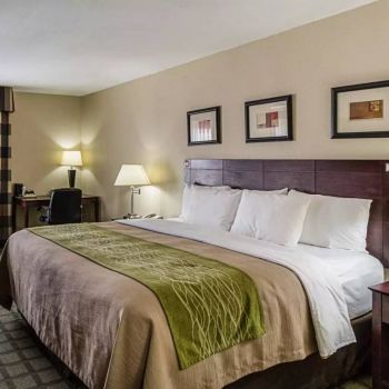Hotel Comfort Inn Southwest At Westpark image