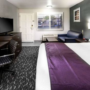 Hotel Best Western Desert Villa Inn image