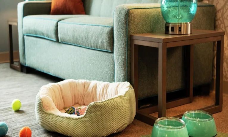 Home2 Suites By Hilton Dallas Medical District Lovefield is pet friendly.