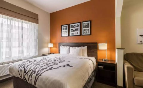 Hotel Sleep Inn & Suites Stafford - Sugar Land image
