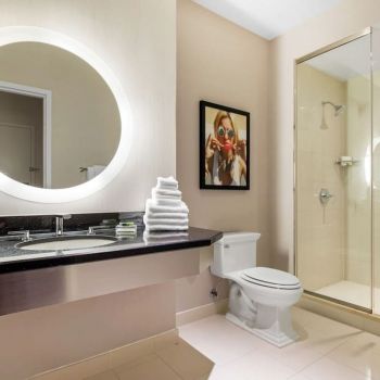 Hotel The Chicago Hotel Collection - Magnificent Mile image