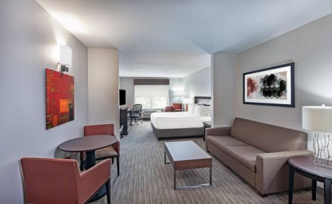 Hotel Holiday Inn Express & Suites Shreveport South - Park Plaza image