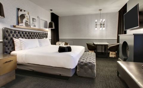 Hotel The Rose Hotel Chicago O’Hare, Tapestry Collection By Hilton image
