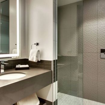 Hotel The Rose Hotel Chicago O’Hare, Tapestry Collection By Hilton image