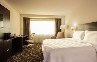 Lovely king bed with lots of natural light at Doubletree By Hilton Toluca.