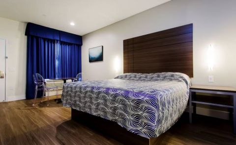 Hotel Palace Inn Blue image