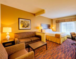 Day use room with sofa at Holiday Inn Express Granbury.