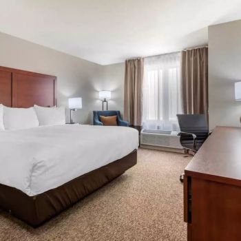Hotel Comfort Inn & Suites Napanee image