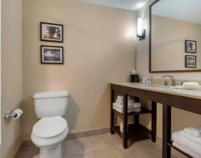 Private guest bathroom with shower at Comfort Inn & Suites Napanee.