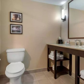 Hotel Comfort Inn & Suites Napanee image