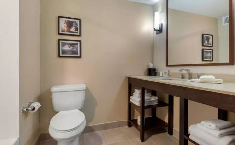 Hotel Comfort Inn & Suites Napanee image