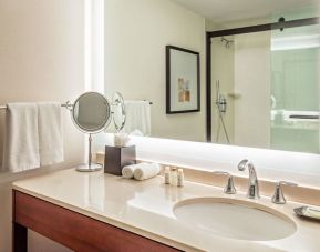 Private guest bathroom with shower at Sheraton Needham.