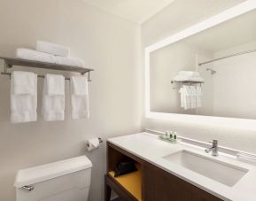 Private guest bathroom with shower at Holiday Inn Houston Intercontinental Airport.