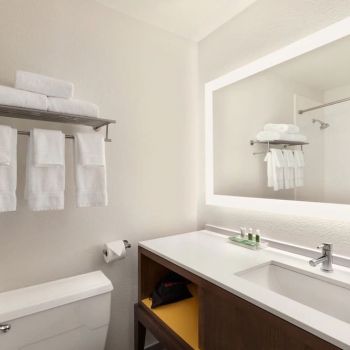 Hotel Holiday Inn Houston Intercontinental Airport image