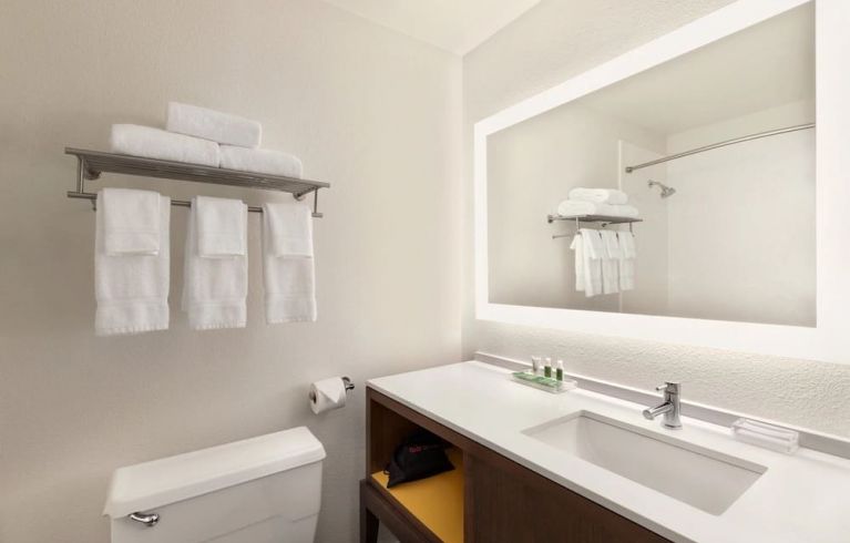 Holiday Inn Houston Intercontinental Airport, Houston