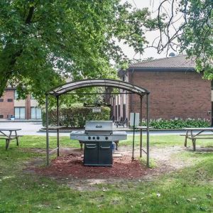Picnic and BBQ area at Comfort Inn Simcoe.