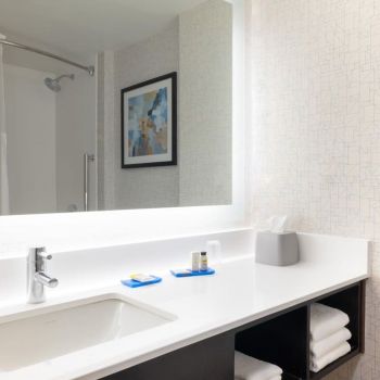 Hotel Holiday Inn Express & Suites Boston-Cambridge image