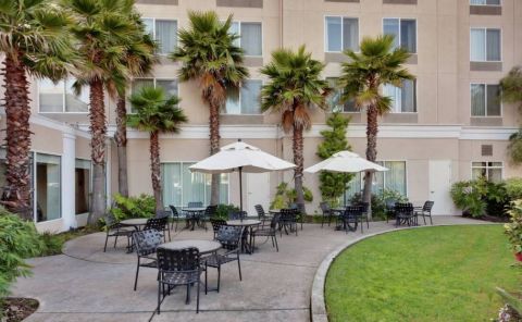 Hotel Hilton Garden Inn San Francisco Airport North image