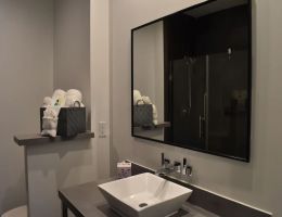 Hotel Bella, Houston