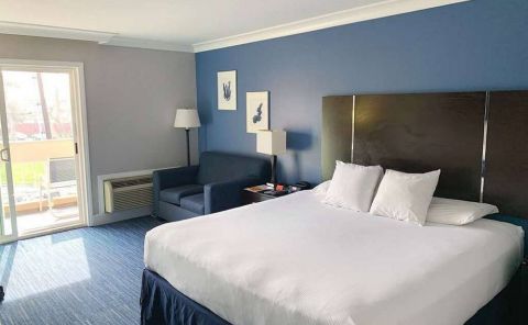 Hotel The Pacific Inn image