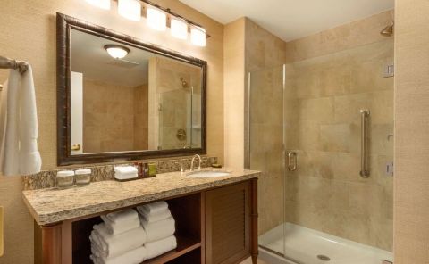 Hotel Embassy Suites By Hilton Savannah image