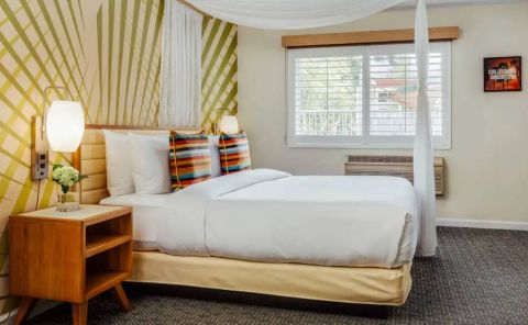 Hotel Wild Palms Hotel image