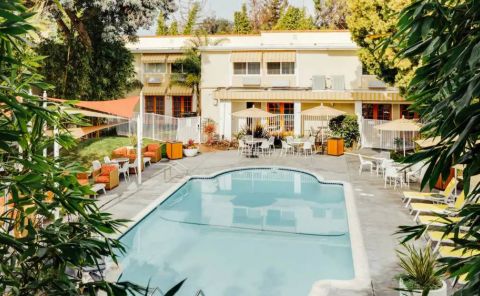 Hotel Wild Palms Hotel image