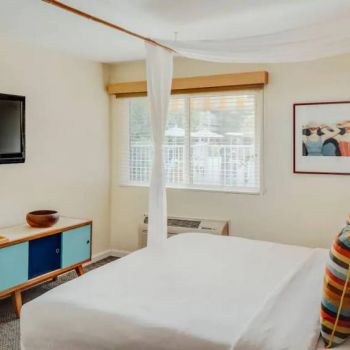 Hotel Wild Palms Hotel image