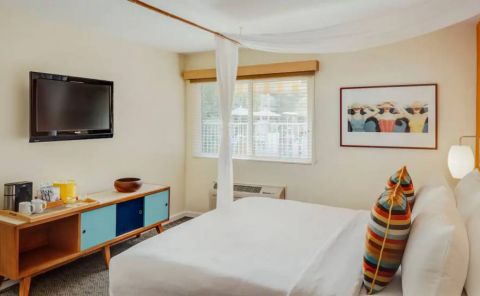 Hotel Wild Palms Hotel image