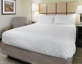 Day use room at Candlewood Suites Odessa.