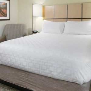 Day use room at Candlewood Suites Odessa.