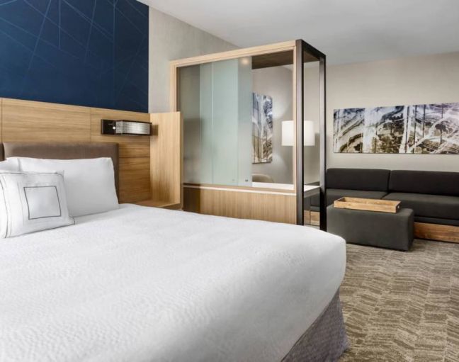 Springhill Suites By Marriott Belmont / Redwood Shores