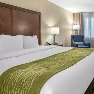 Day use room at Comfort Inn & Suites Albuquerque Downtown.
