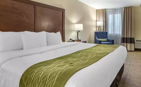 Hotel Comfort Inn & Suites Albuquerque Downtown image