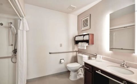 Hotel Homewood Suites By Hilton Dallas-Lewisville image
