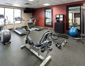 Equipped fitness center at Hampton Inn St. Louis-Downtown (At The Gateway Arch).