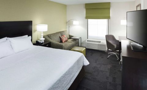 Hotel Hampton Inn & Suites Gainesville-Downtown image
