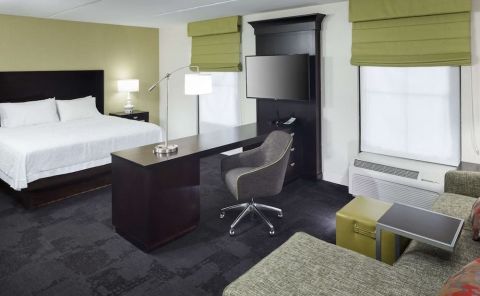 Hotel Hampton Inn & Suites Gainesville-Downtown image