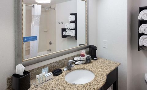 Hotel Hampton Inn & Suites Gainesville-Downtown image