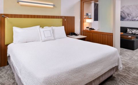 Hotel SpringHill Suites By Marriott Irvine John Wayne Airport/Orange County image