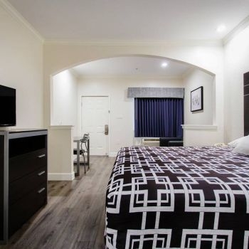 Hotel Palace Inn TX 249 image