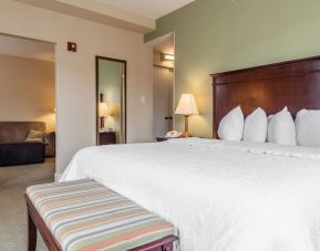 Spacious king room at Hampton Inn & Suites Birmingham-Downtown-Tutwiler.