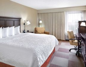 King bed with natural light at Hampton Inn Dallas-Irving-Las Colinas.