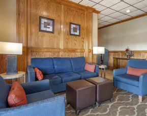 Comfort Inn & Suites, Triadelphia