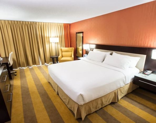 Holiday Inn Rochester NY - Downtown