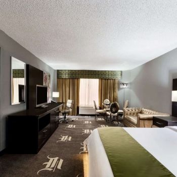 Hotel Wyndham Garden Dallas North image