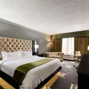Hotel Wyndham Garden Dallas North image