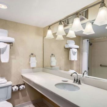 Hotel Wyndham Garden Dallas North image