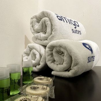 Hotel Hotel Amigo Suites image