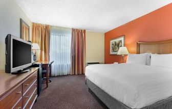 Delux king room with TV at Holiday Inn Express Chicago - Downers Grove.